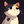 Николай Волтов