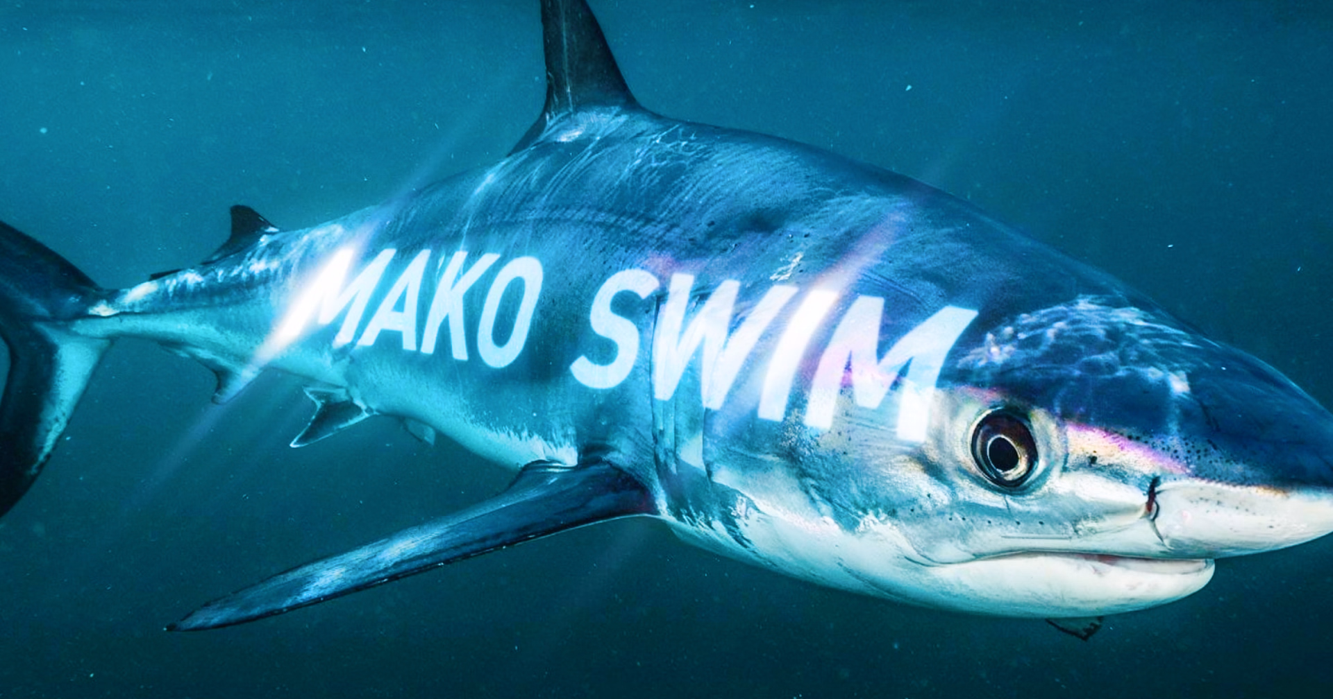 Mako