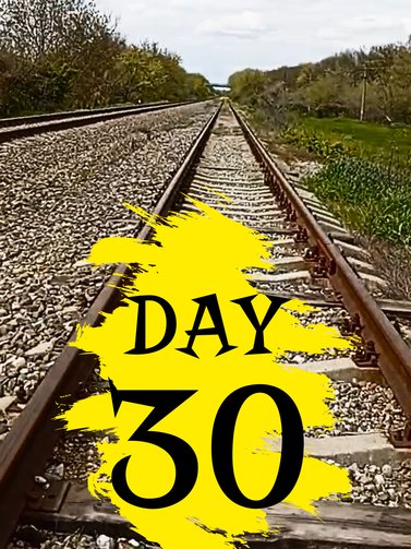 Season 262. Day 30