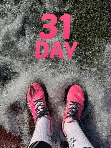 Season 262. Day 31