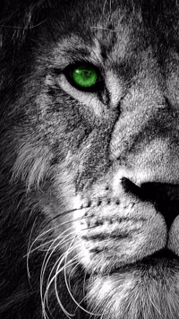 Сергей Игнатьев