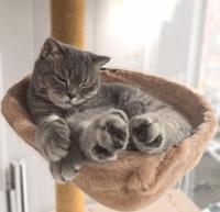 Мирослав Гордых