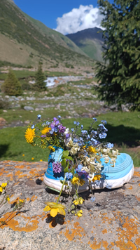 Наталия Выдрина